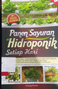panen sayur hidroponik setiap hari