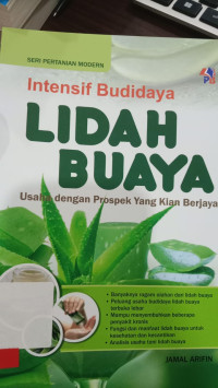 intensif budidaya lidah buaya