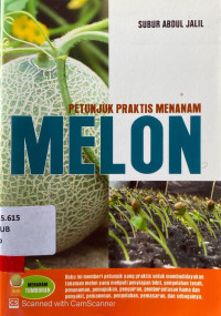 Petunjuk Praktis Menanam Melon