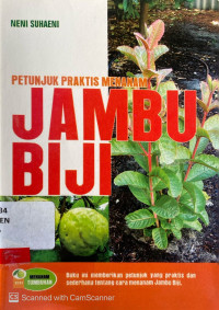 Petunjuk Praktis Menanam Jambu Biji
