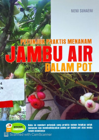 Petunjuk Praktis Menanam Jambu Air Dalam Pot
